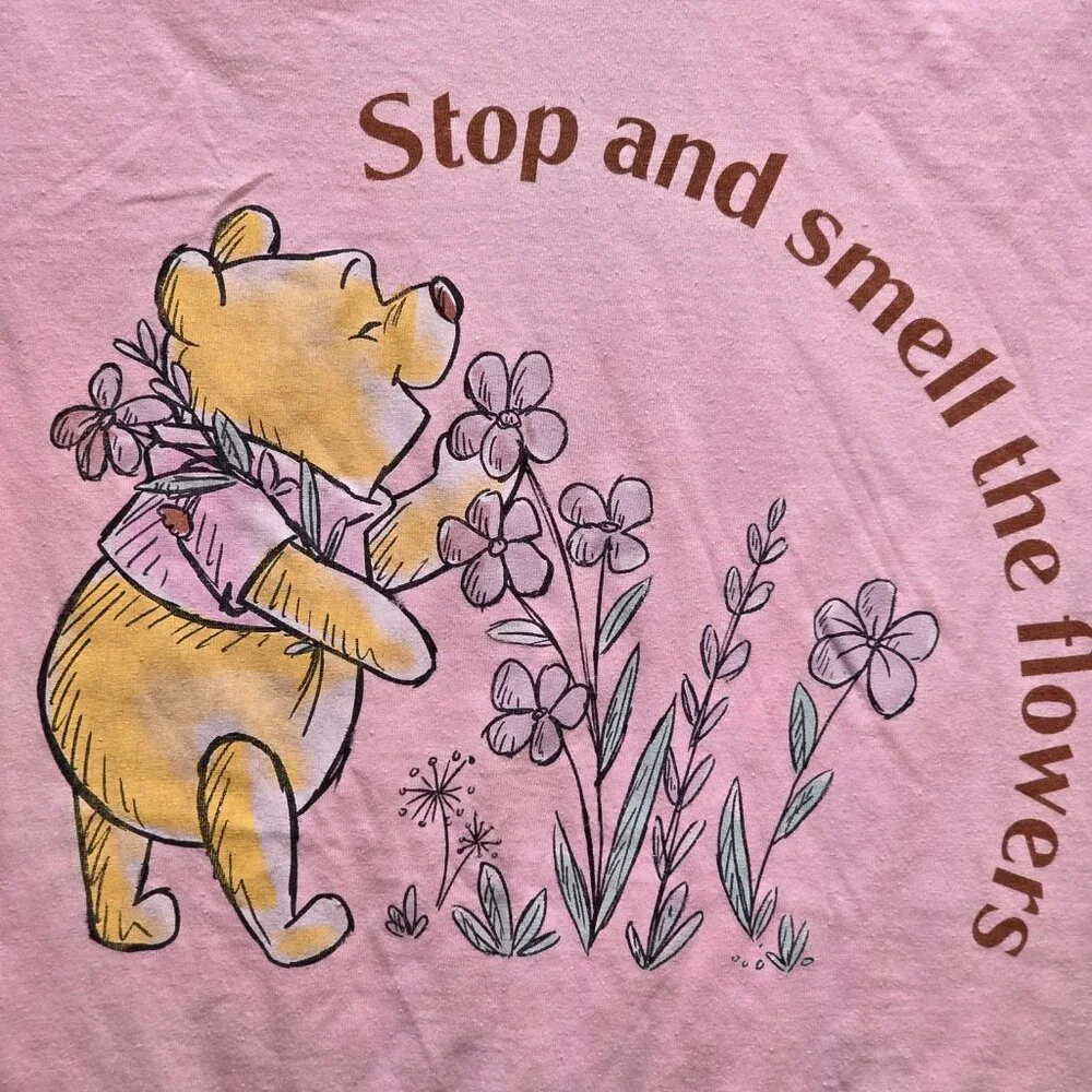 Disney winnie pooh